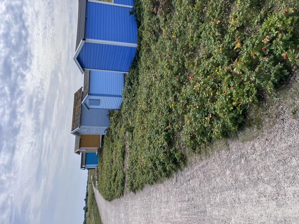 IMG_0711-1024x768.jpeg