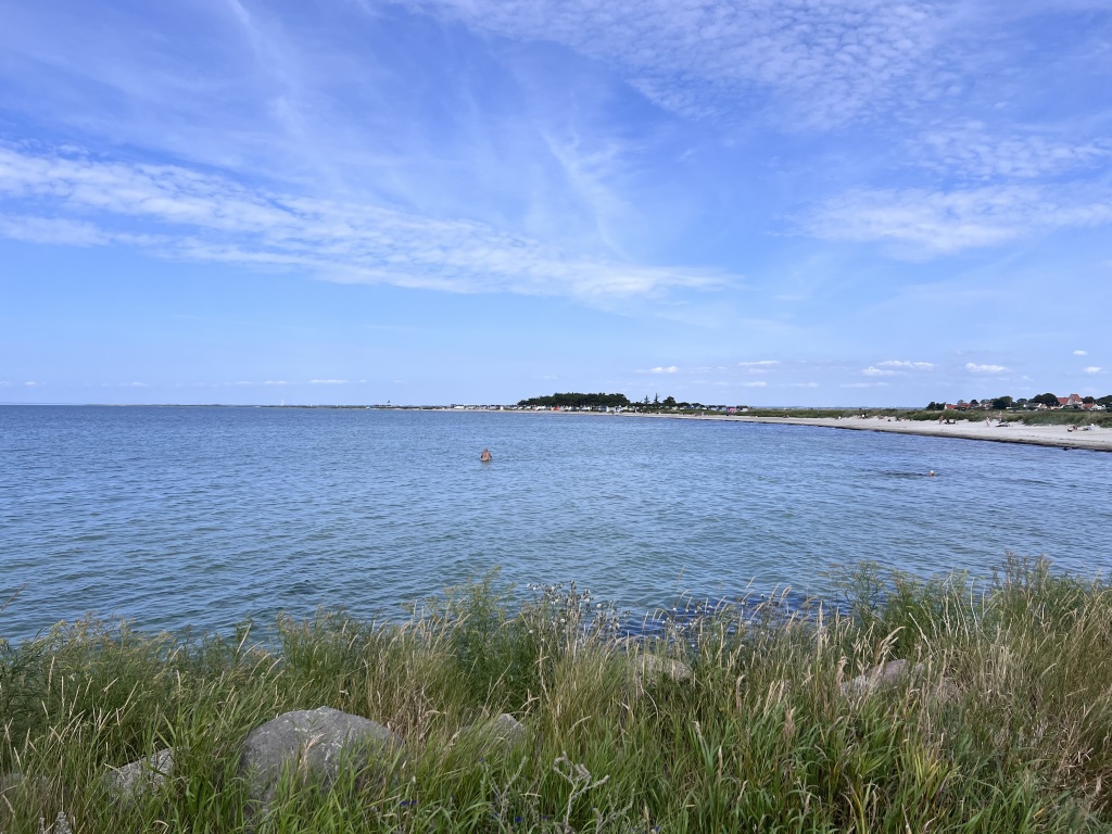 IMG_0697-1024x768.jpeg