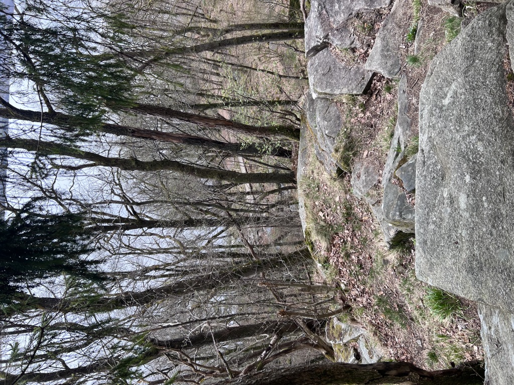 IMG_3510-1024x768.jpeg