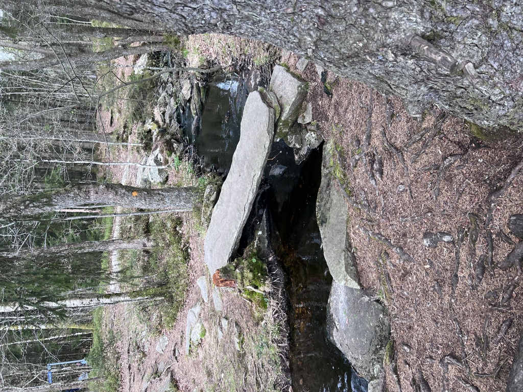 IMG_3512-1024x768.jpeg