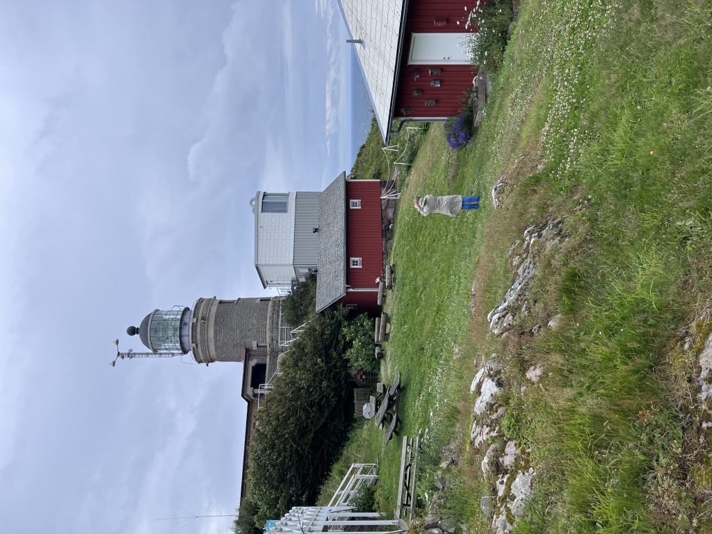 IMG_4779-1024x768.jpeg