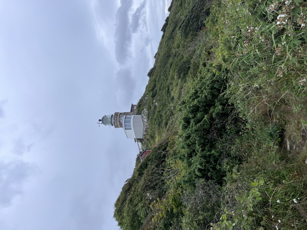 IMG_4784-1024x768.jpeg