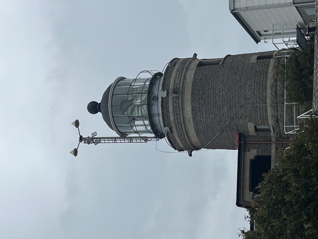 IMG_4533-1024x768.jpeg