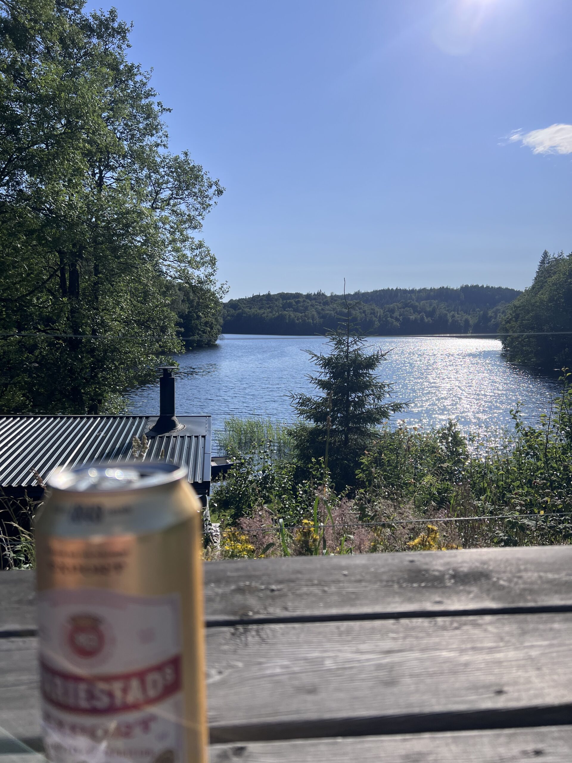 första bokade resan..