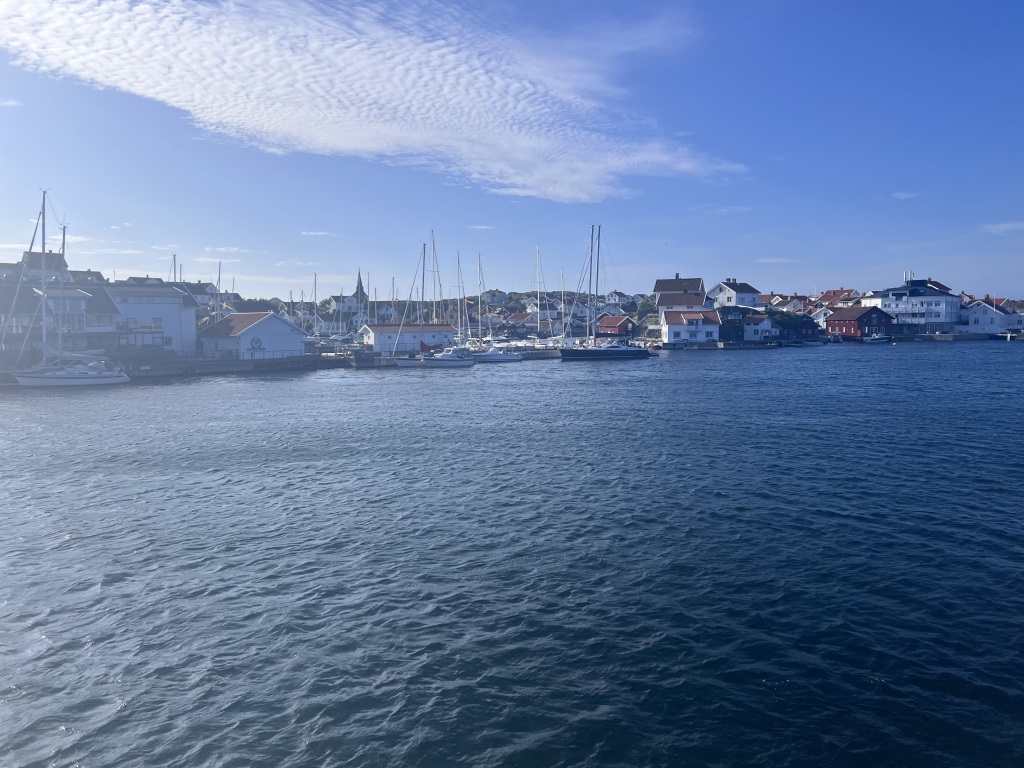 IMG_5139-1024x768.jpeg