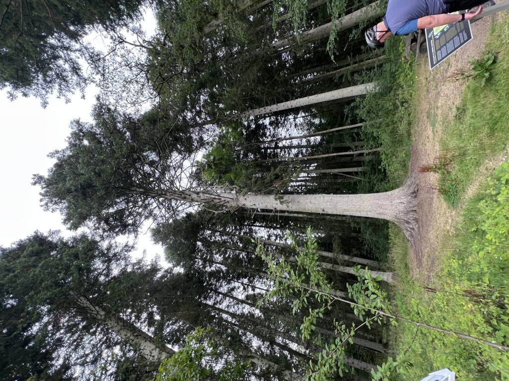IMG_5350-1024x768.jpeg