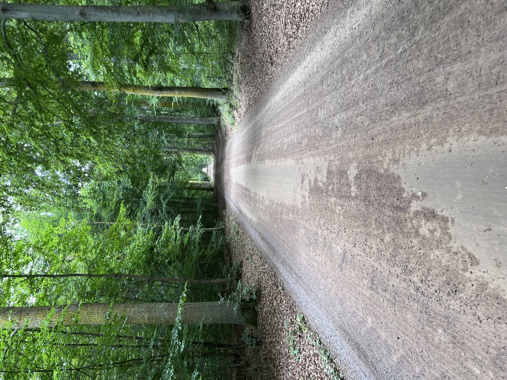 IMG_5353-1024x768.jpeg