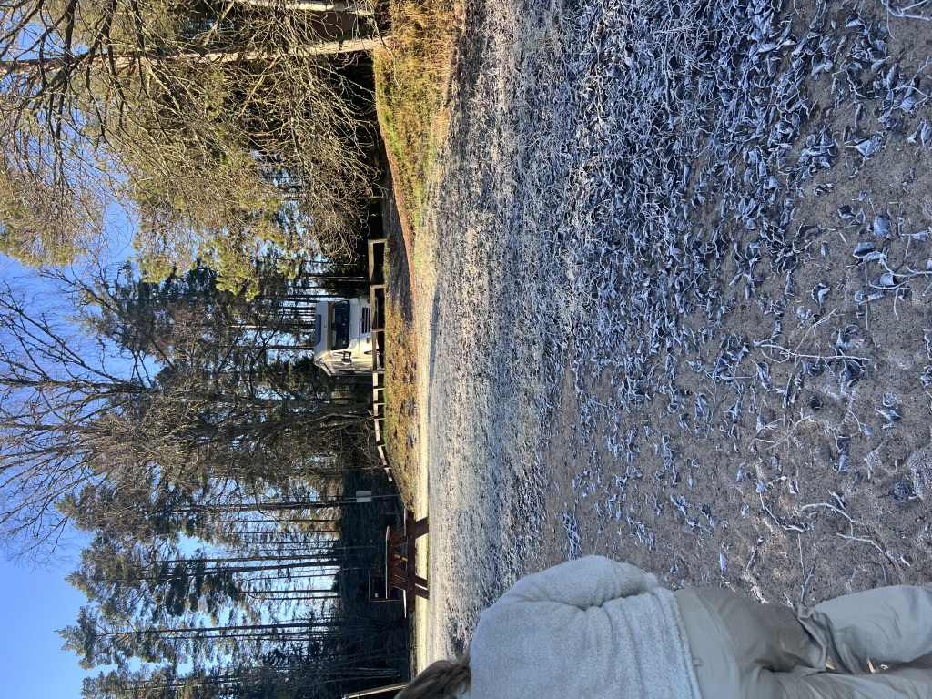 IMG_6641-1024x768.jpeg
