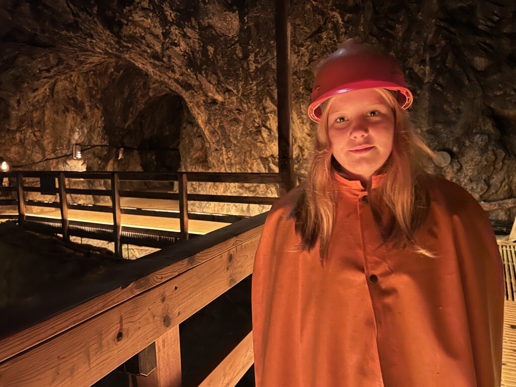 IMG_5438-1024x768.jpeg